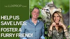 Transform Your Life Adopt A Furry Companion From Craigslist Sacramento