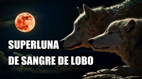 Superluna de Sangre de Lobo el espectacular eclipse lunar que se verá