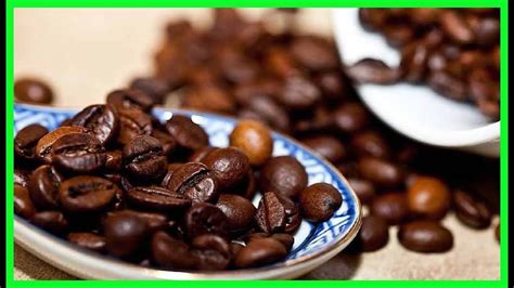 Hábitos, tipos, prevención, insecticidas y trucos muy buenos para combatirlas. Cómo Eliminar las Hormigas de Casa con Café - YouTube