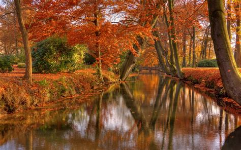 Wallpaper Sunlight Trees Landscape Forest Fall Leaves Water