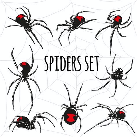Black Widow Spider Vector Set 3185531 Vector Art At Vecteezy