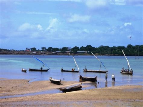 Pemba Island 2021 Qué Saber Antes De Ir Lo Más Comentado Por La Gente Tripadvisor