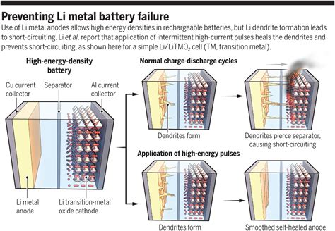 Schematic Showing Four Typical Types Of Li Metal Batteries Vrogue