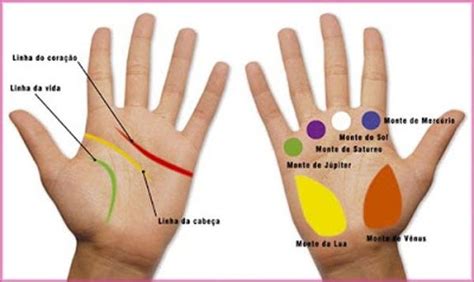 Quirologia Mão Esquerda E Mão Direita Linhas Das Mãos Leitura De