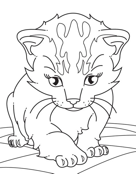 The dog has a bone in his teeth. Baby Kitten Coloring Pages - Coloring Home