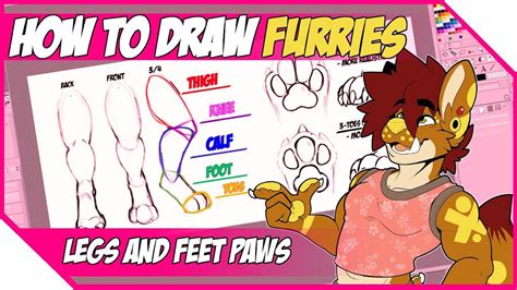 【how To Draw Furries 】legs And Feet Paws Youtube