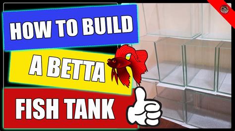 This is why you may find a bubble nest in your tank even if your betta has never seen or had contact with a female. How to Build a Betta Fish tank - YouTube