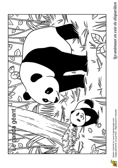 Coloriage Animaux En Danger Panda Geant