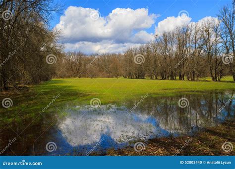 Spring Landscape Flooded Meadow Stock Photo Image Of Blue Travel