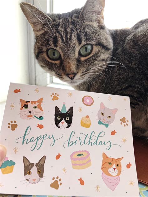 Happy Birthday Cats Card Kitten Party Pet Birthday T Etsy