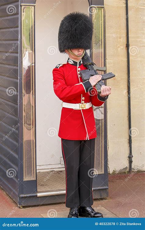 Buckingham Palace Guards Guns