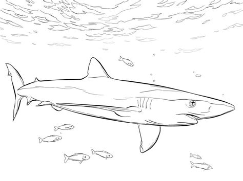 Gallery of landscape coloring pages for adults: 73 best Shark Coloring Pages images on Pinterest | Sharks, Colouring pages and Colouring