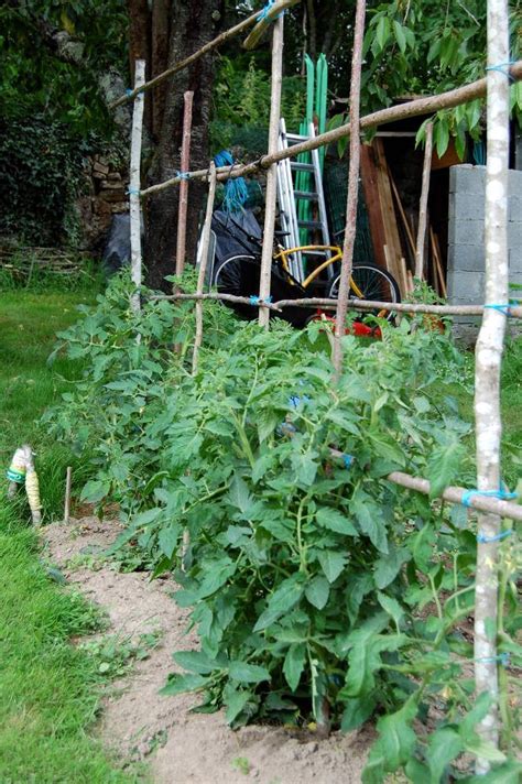 Support à Tomate Treillis Jardin Potager Tuteur Tomate