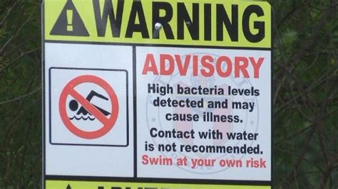 Swimmers Braving Bull Creek In Spite Of Bacteria Warning