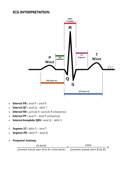 Ecg Normal Values Hot Sex Picture