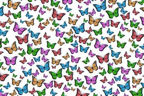 Hd Wallpaper Multicolored Butterfly Print Butterflies Colorful
