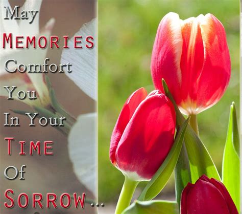 25 Sympathy Quotes Messages And Condolence