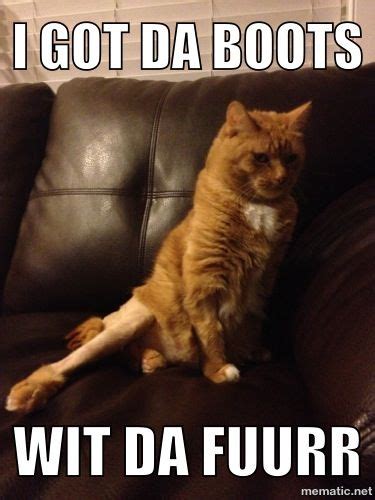 sexy cat funny picture quotes funny cat pictures cat pics cat memes funny memes funny cute