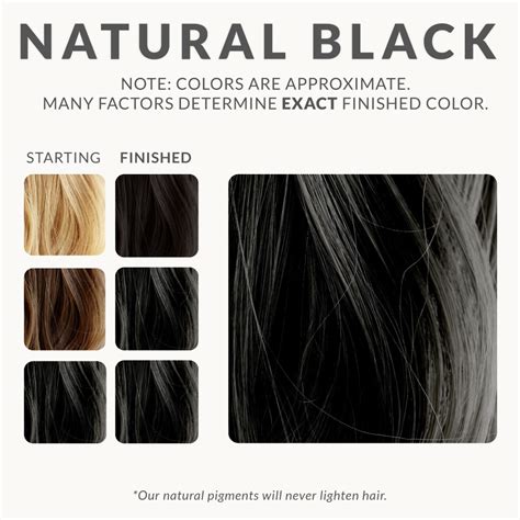 Natural Black Henna Hair Dye Henna Color Lab Henna
