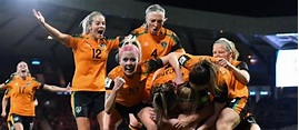 Jugadoras de la selección femenina de Irlanda celebran un triunfo con ...