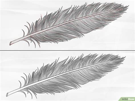 How To Draw A Feather 8 Steps With Pictures Feather Drawing