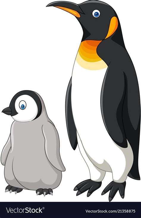 Cartoon Mother And Baby Penguin Isolated On White Background Download