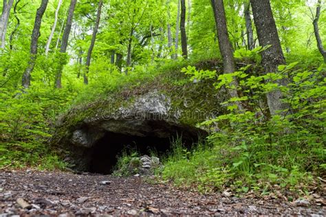 Small Cave In Forest Stock Photo Image Of Zniev Beautiful 153496470