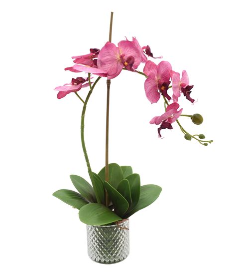 Pink Orchid In Textured Glass Vase Etsy