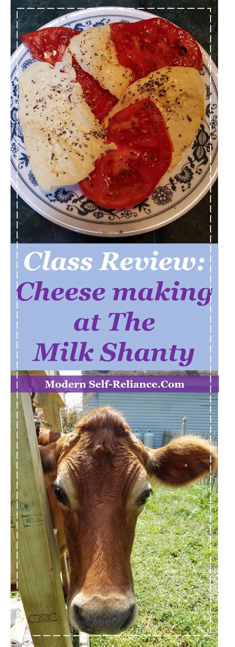 Cheese Making Class Plus Milking At The Milk Shanty How To Make