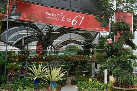 Established since year 2002 and now they have 30 outlets in malaysia. Paling Horticulture Sdn Bhd Online Store - Posts | Facebook