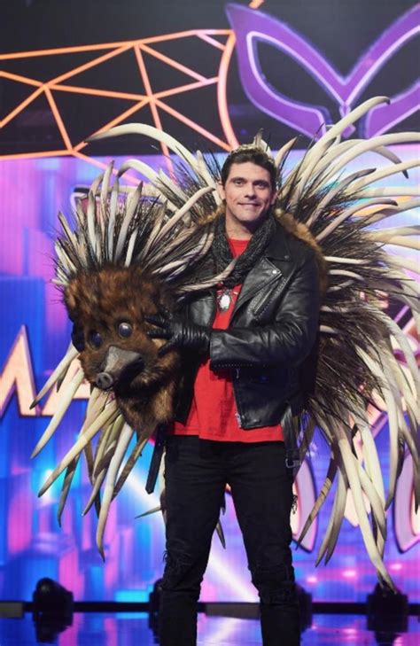 The Masked Singer Australia Mark Philippoussis Unmasked As The Echidna