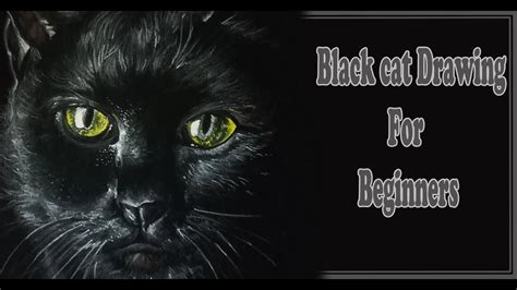 This step by step lesson progressively builds upon each previous step until you get step 3: *BLACK CAT*|How to Draw a Black Cat's face|Easy Beautiful ...