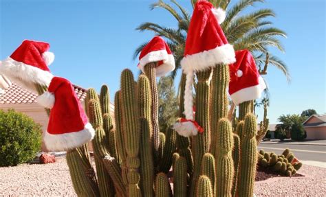 How To Celebrate The Holidays In Arizona