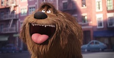 The Secret Life of Pets Posters Reveal New Looks | Collider
