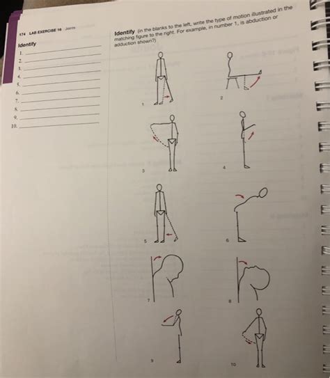 Solved 174 Lab Exercise 16 Joints Identify In The Blanks To