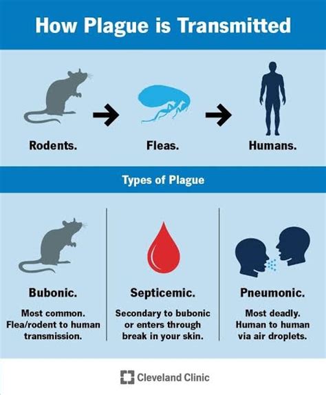 Bubonic Plague Upsc