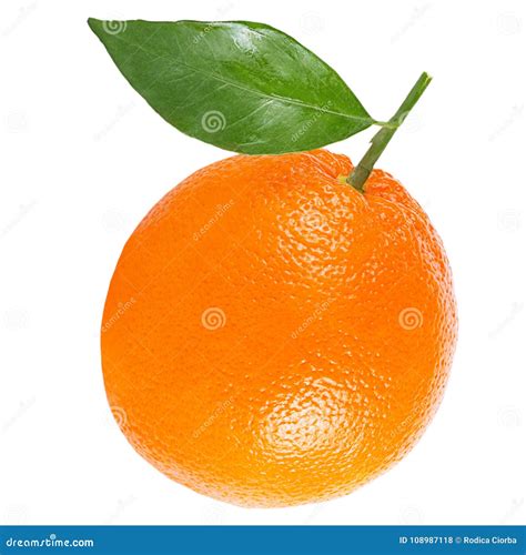 One Whole Orange With Leaf Isolated On White Stock Photo Image Of