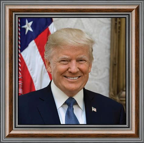 Donald Trump Official Framed Presidential Portrait 10x10 8755