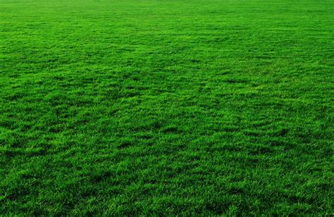 Background Green Grass · Free Photo On Pixabay