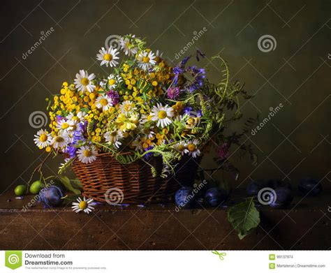 Still Life With Wild Flowers In Basket Stock Photo Image Of Retro