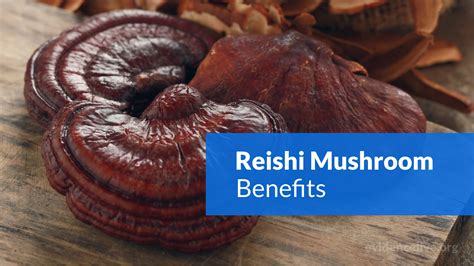 Reishi Mushroom Benefits Uses Dosage Side Effects Evidencelive