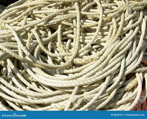 Tangled Rope Stock Image Image Of Ship Complex Tangled 4629161