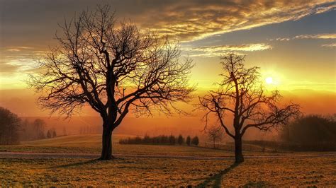 Sunset Above The Winter Trees Wallpaper Nature Wallpapers 41387