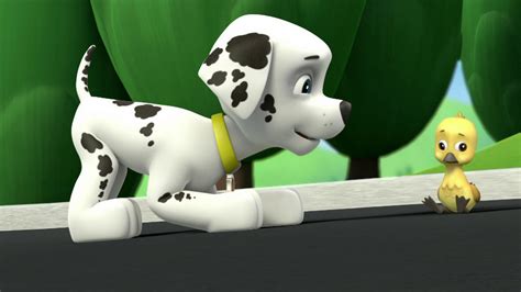 Watch Paw Patrol Season 1 Episode 5 Pup Pup Goosepup Pup And Away