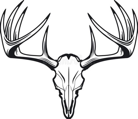 Whitetail Deer Head Stock Vector Illustration Of Head 43436427