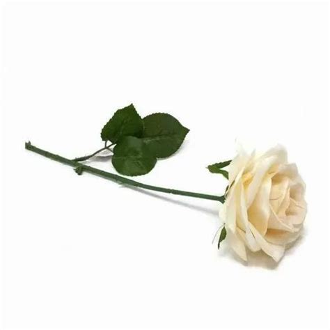 Polyethylene Plastic Artificial White Rose Stick Packaging Size 1