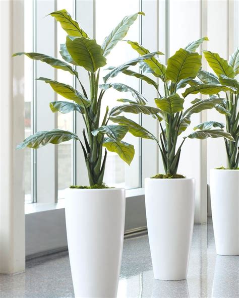 Pin By 嗡 On Office Floor Plants Artificial Plants Indoor Plants