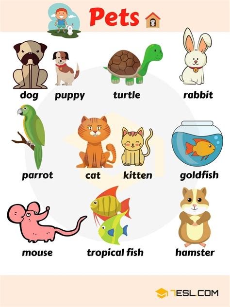 Pet Animals List Name