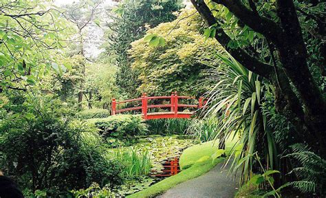 Check spelling or type a new query. The Japanese Gardens, Kildare Stud, Kildare. | Kildare, Japanese garden, Country roads