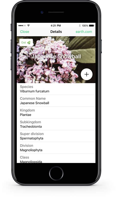 Is there app to identify plants? PlantSnap - Plant Identifier App, #1 Mobile App for Plant ...